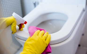 How to Clean Raised Toilet Seats? - The Shower Mag